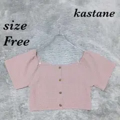 kastane カスタネ（F）クロップドトップス フロントボタン 半袖 チェックのサムネイル