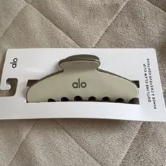 日本未入荷❣️alo yogaヘアクリップ マカダミア/ブラック alo yoga 本物 ブラック 黒 ヘアクリップ 新品未使用 - メルカリ