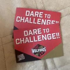 ウルフドッグス名古屋 ミニハリセン2枚セット