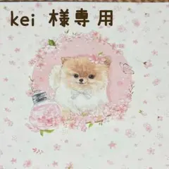 kei 様専用A7クリアバインダー リフィル10枚付き ピンク＆ローズゴールド