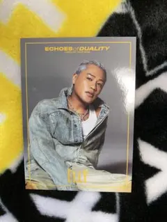 ELLY フォトカード