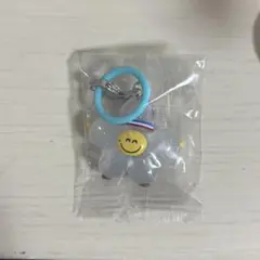 TRUZ めじるしアクセサリー romi ジフン ロミ treasure