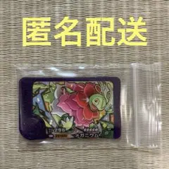 2026年最新】トリプルゲットキャンペーン メガニウムの人気アイテム
