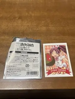 魔法少女まどか☆マギカ まどマギ ローソンコラボ フォト風カード