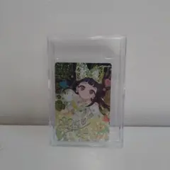 セ*ナ様 アイプリカードサインいり　つむぎ