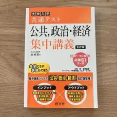 大学入試 共通テスト 公共・政治・経済 集中講義