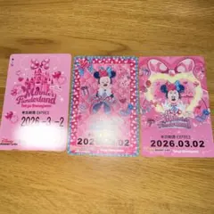 リゾラ　フリーきっぷ　ミニー　リゾートライン　ミニパル　パルパルーザ