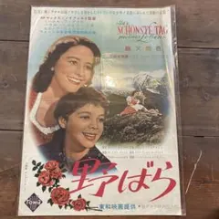 ポスター☆ファラ・フォーセット1979 映画『サンバーン』 - メルカリ
