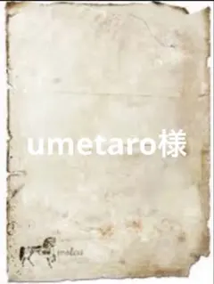 umetaro様 リクエスト 2点 まとめ商品