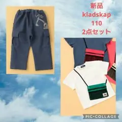 クレードスコープ ギガントサウルスの恐竜Tシャツ おまとめ売り