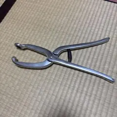 Item thumbnail for item 6a52b60f-bd43-4f84-8fb7-3a3c9ca520b5