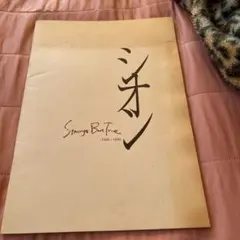 2025年最新】strange but true sionの人気アイテム - メルカリ