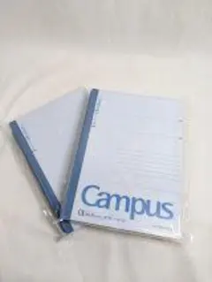 Item thumbnail for item 8edb7e6a-8cc3-4a53-8544-f32747b425ac