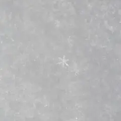 ma.naさま　専用ページ♡