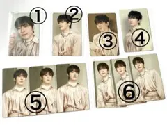 SEVENTEEN ウォヌ トレカ 公式 10枚セット