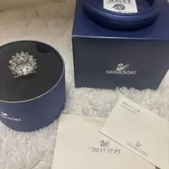 スワロフスキー 置物　ハリネズミ　美品　ケース　箱付き　ケアアドバイス冊子付き