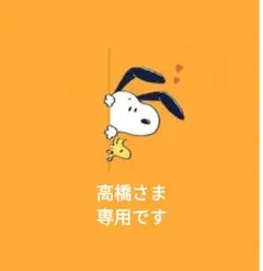 高橋さま　専用です