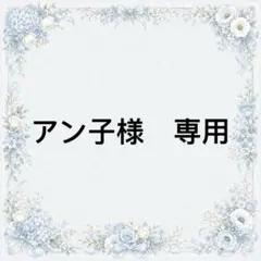 アン子様　専用