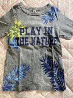 グレー　Tシャツ　保育園