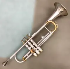 2026年最新】管楽器・吹奏楽器の人気アイテム - メルカリ