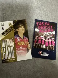 柳田将洋 スポーツ選手