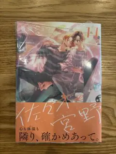 佐々木と宮野 11 春園ショウ ささみゃー 宮野由美 佐々木秀鳴 最新刊