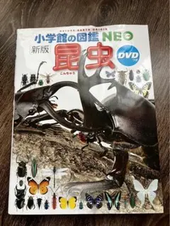 小学館の図鑑NEO 新版　昆虫　DVDつき