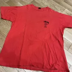 激レア　80s サテンタグ　黒タグ　oldstussy ラスタ　ライオン　xl