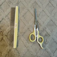 Item thumbnail for item 583d599e-1633-4c71-917b-236dc4386cc0