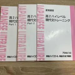 高2ハイレベル現代文トレーニング part1.2セット 東進 - メルカリ