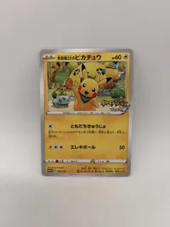 救助隊DXのピカチュウ：ゲオ限定プロモカード キャンペーン PROMO S-P…