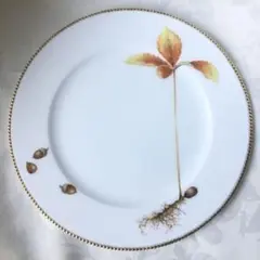 大倉陶園　ハンドペイント　27㎝プレート