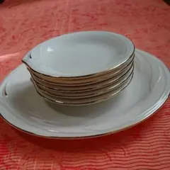 新品未使用  たち吉  RICH FIELD  大小 皿セット