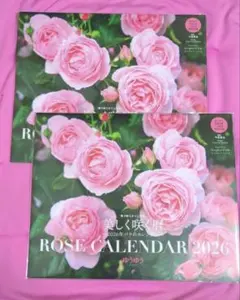 Item thumbnail for item 9b14e88a-4c75-457a-86e4-6ead18ce8fea