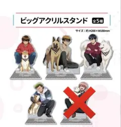 ダイヤのA GIGO限定 ビッグアクリルスタンド コンプリート 5種 - メルカリ