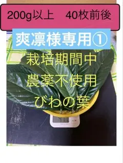 爽凛様専用① びわの葉200gのサムネイル