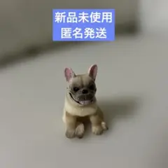 Item thumbnail for item 91782482-3444-4834-b937-1dde7109e100