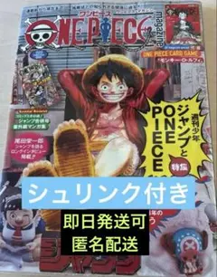 シュリンク付き1冊ワンピースマガジン