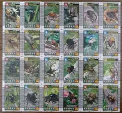 ムシキング 2004セカンド＋ ムシカード ノーマル全種コンプ