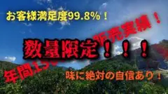 熊本県産みかん『 青島』箱込み4.9kg サイズ2S〜S