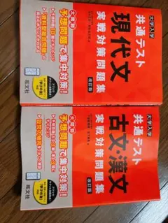 Item thumbnail for item 8b34b704-7aee-464d-b8f3-d10819bb53b2