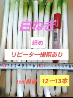 2026年最新】ネギの人気アイテム - メルカリ