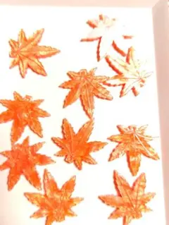♡秋パーツ♡紅葉 楓のチャーム 穴あり10個入り ハンドメイド資材