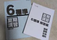 2026年最新】日能研 6年 夏期講習の人気アイテム - メルカリ