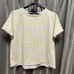 Golden Bear 半袖 カットソー イエロー Mのサムネイル