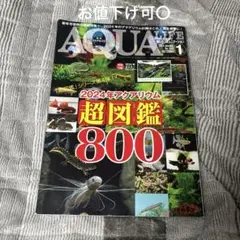 月刊アクアライフ 2024年1月号