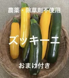 【農薬・除草剤不使用】ズッキーニのサムネイル