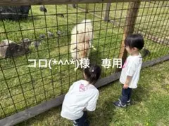 コロ(*^^*)様　専用