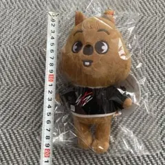 K-POP ぬいぐるみ スキズ straykids ハン クウォッカ