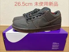 NIKE SB DUNK LOW PRO PRM HV1668-001 未使用